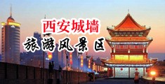 艹美女骚BB中国陕西-西安城墙旅游风景区